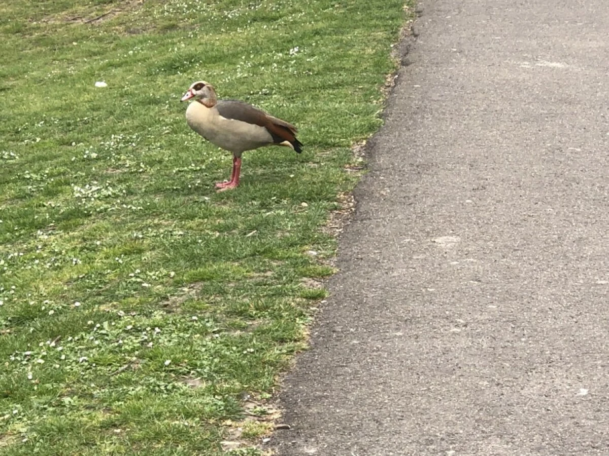 2022-Antwerp-Antwerpen-安特卫普