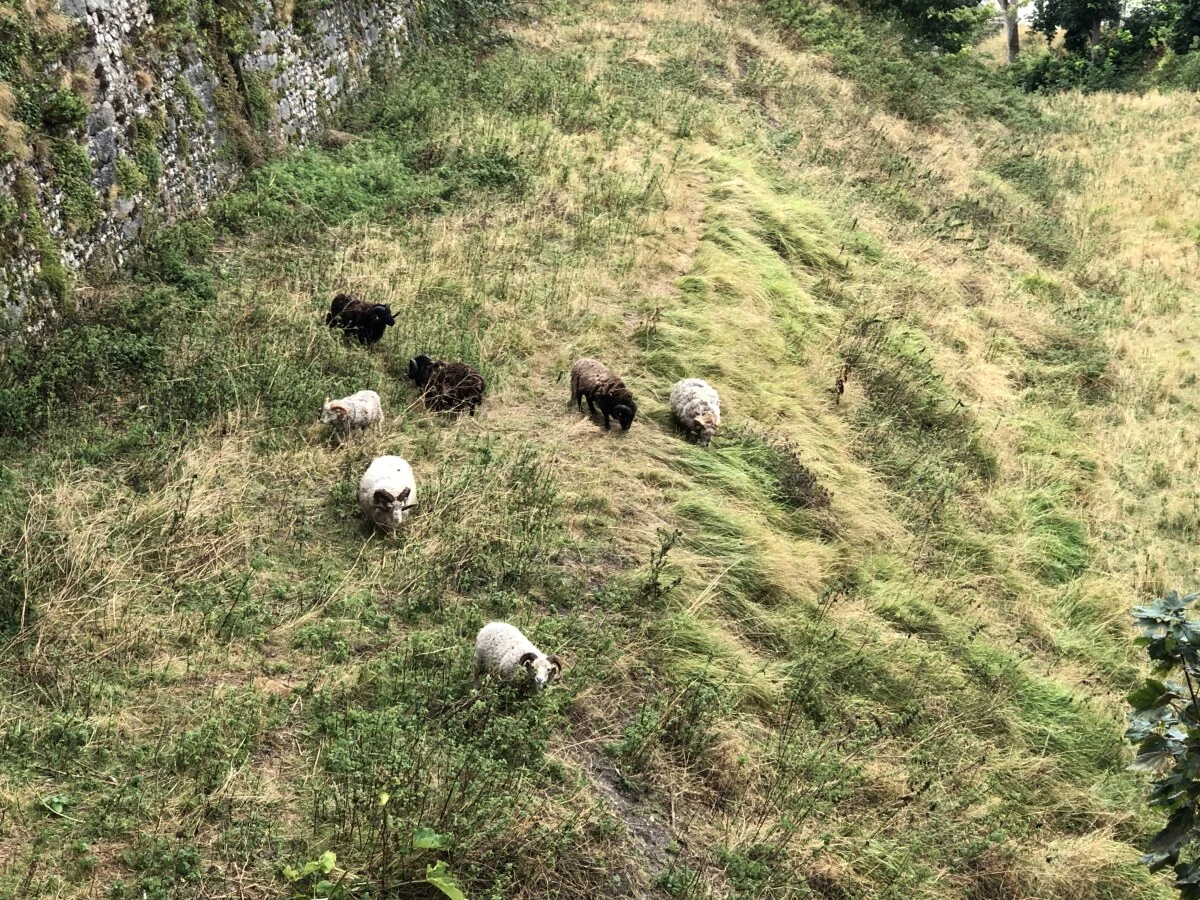 2025-Dieppe-Dieppe-迪耶普