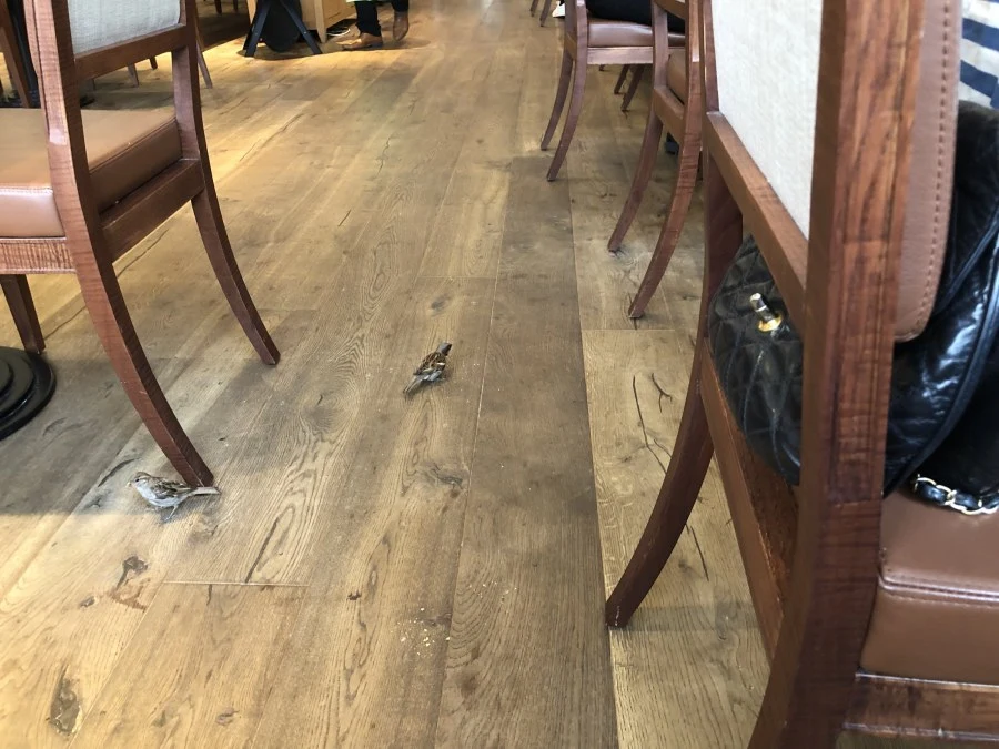 2022-Marne-la-Vallée-马恩河谷