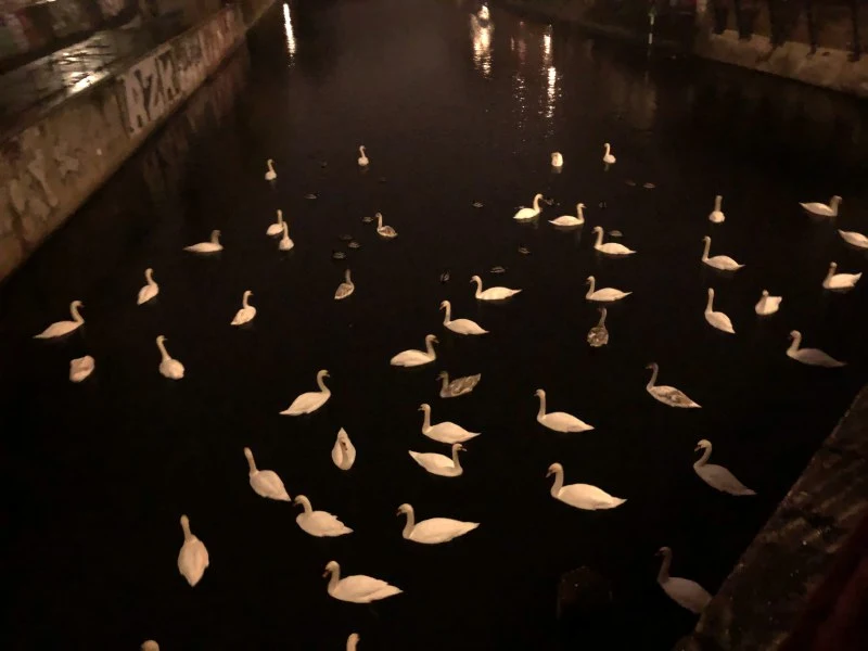 2023-Berlijn-柏林 - 