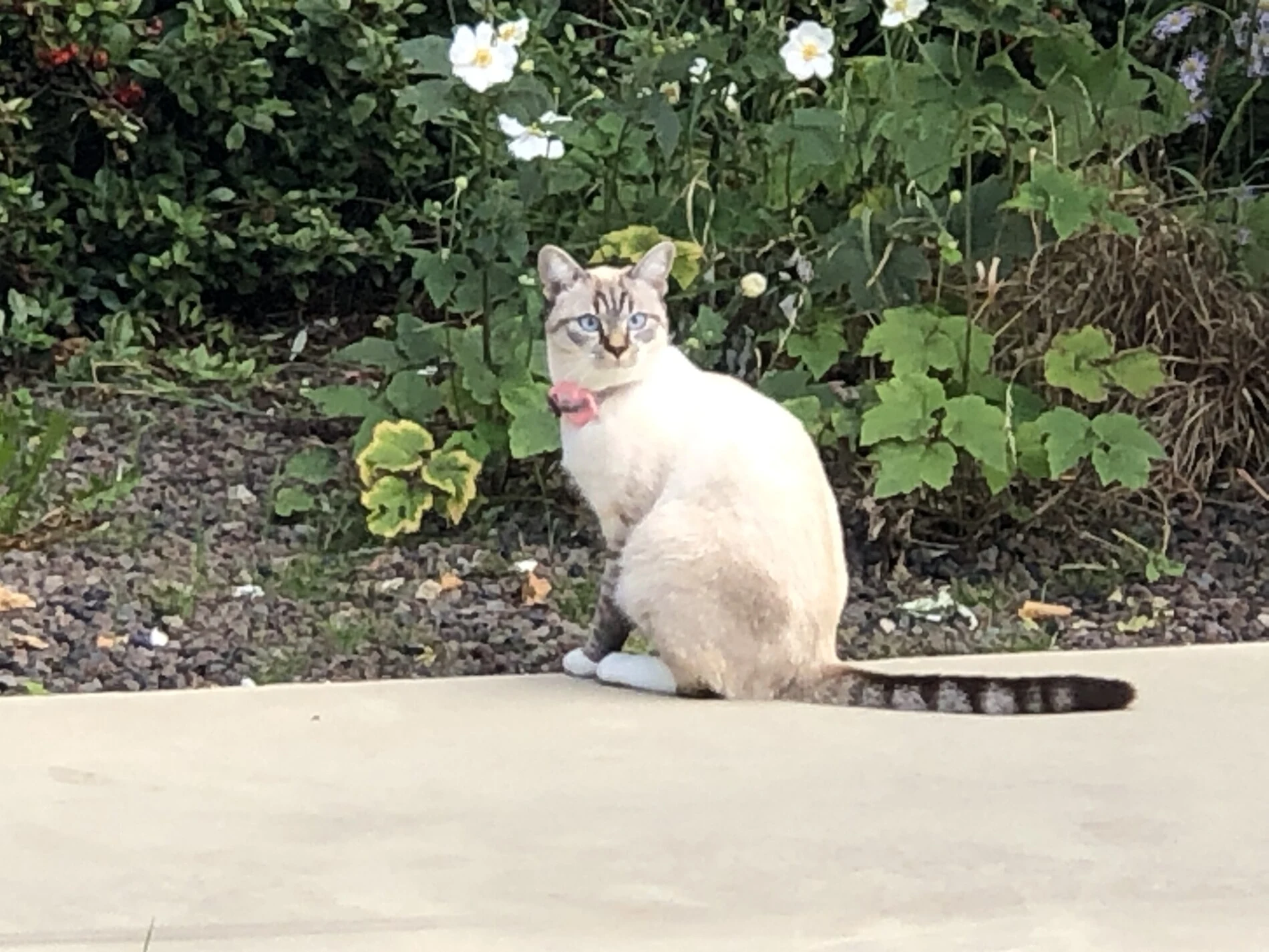 2025-Antwerp-Antwerpen-安特卫普