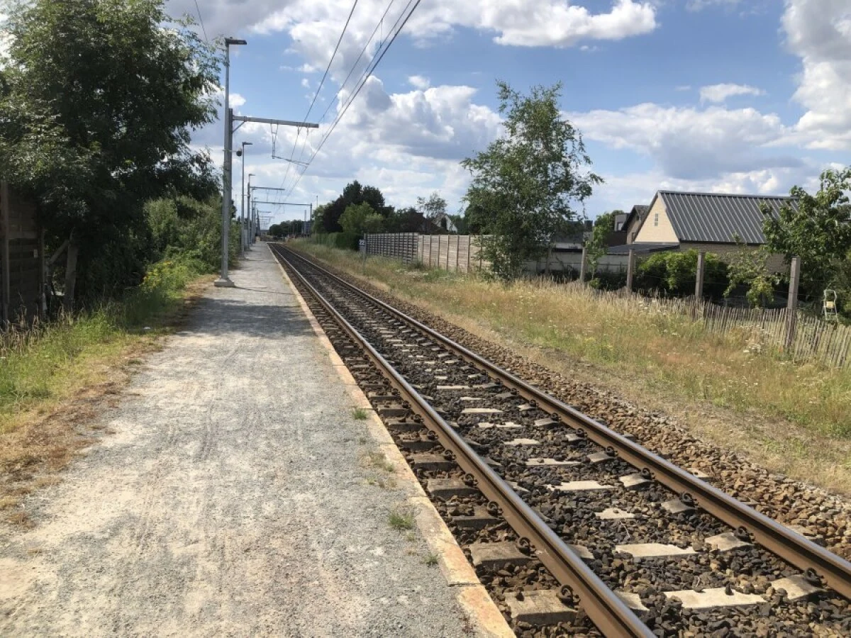 2022-Overpelt-Overpelt- Overpelt