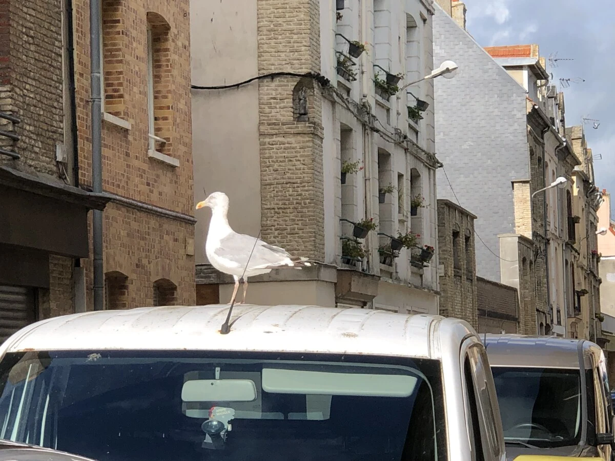 2025-Dieppe-Dieppe-迪耶普