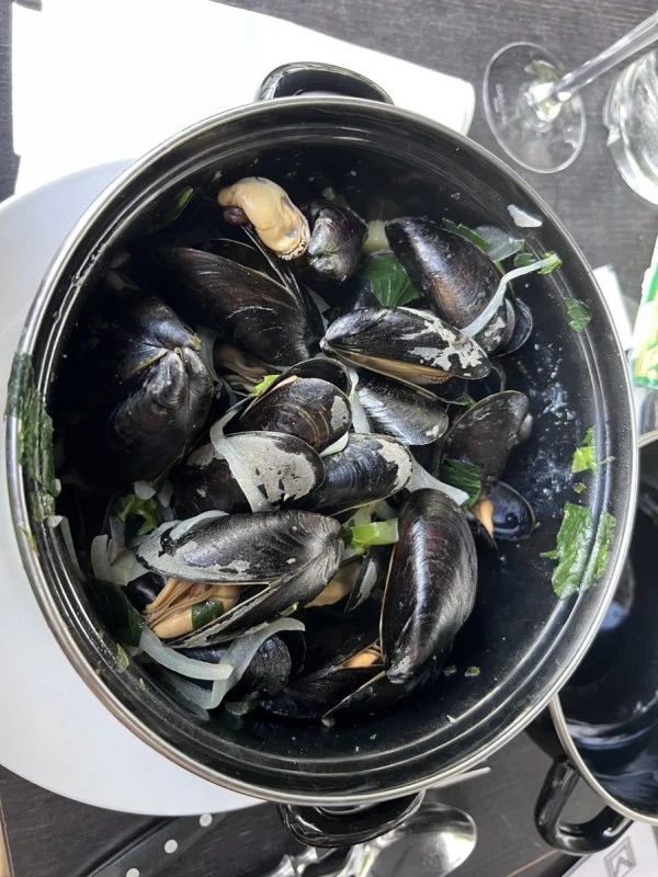 Antwerpen mussels