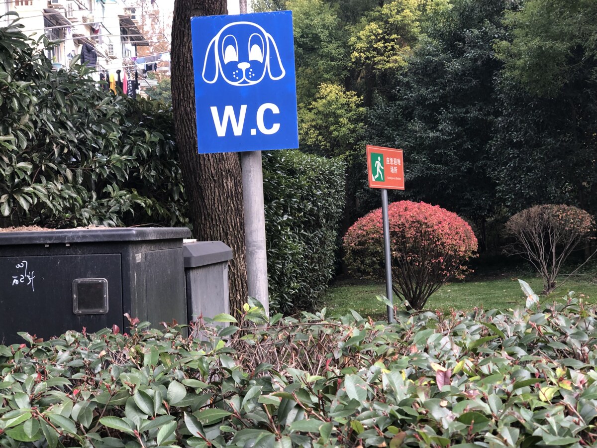 dog W.C.