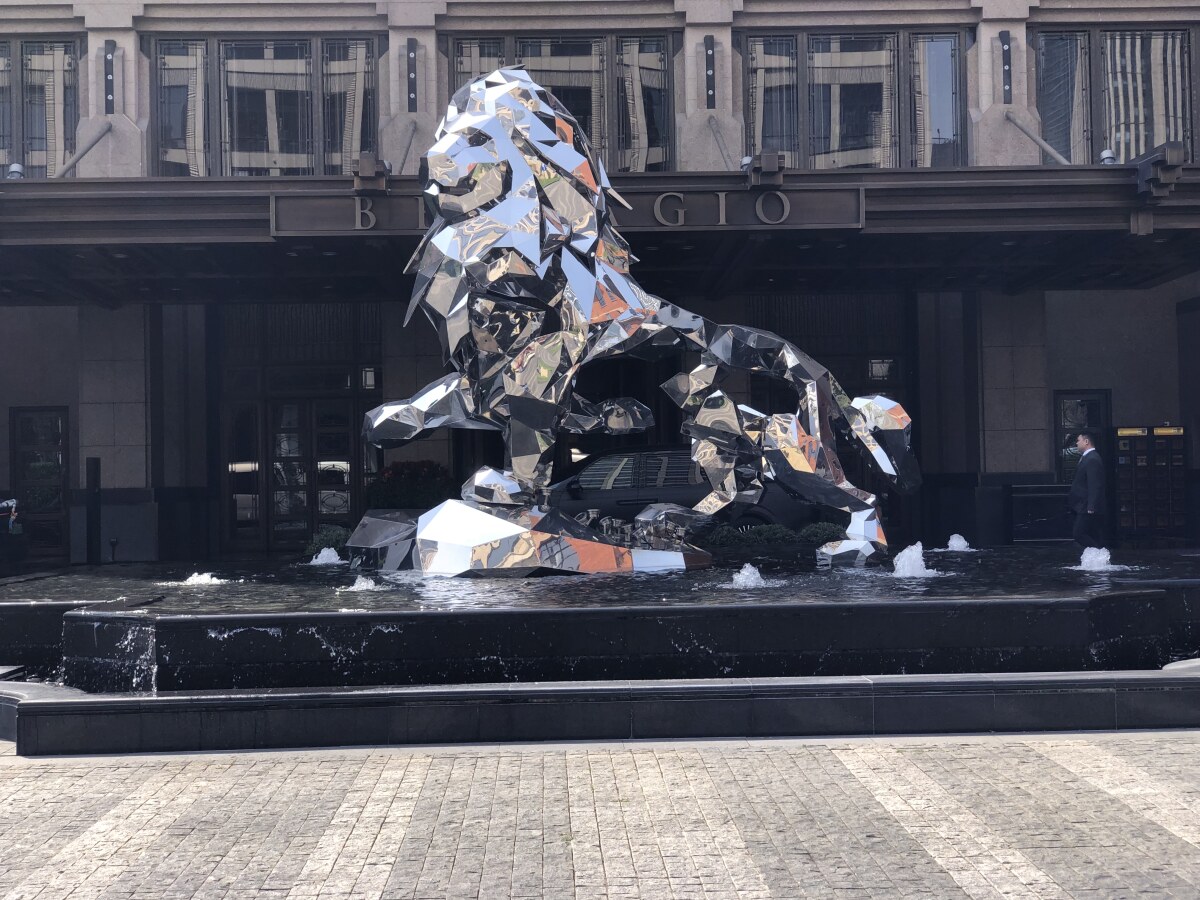 lion