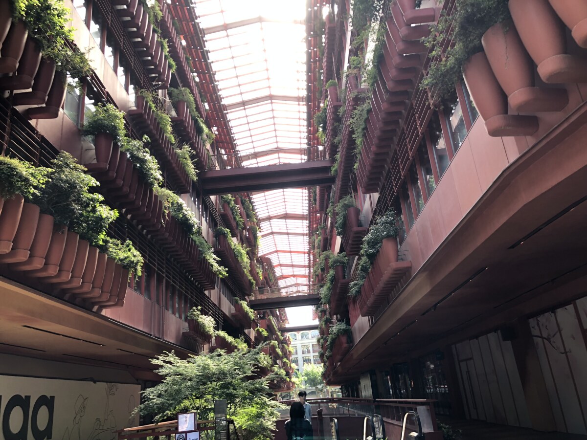 city
