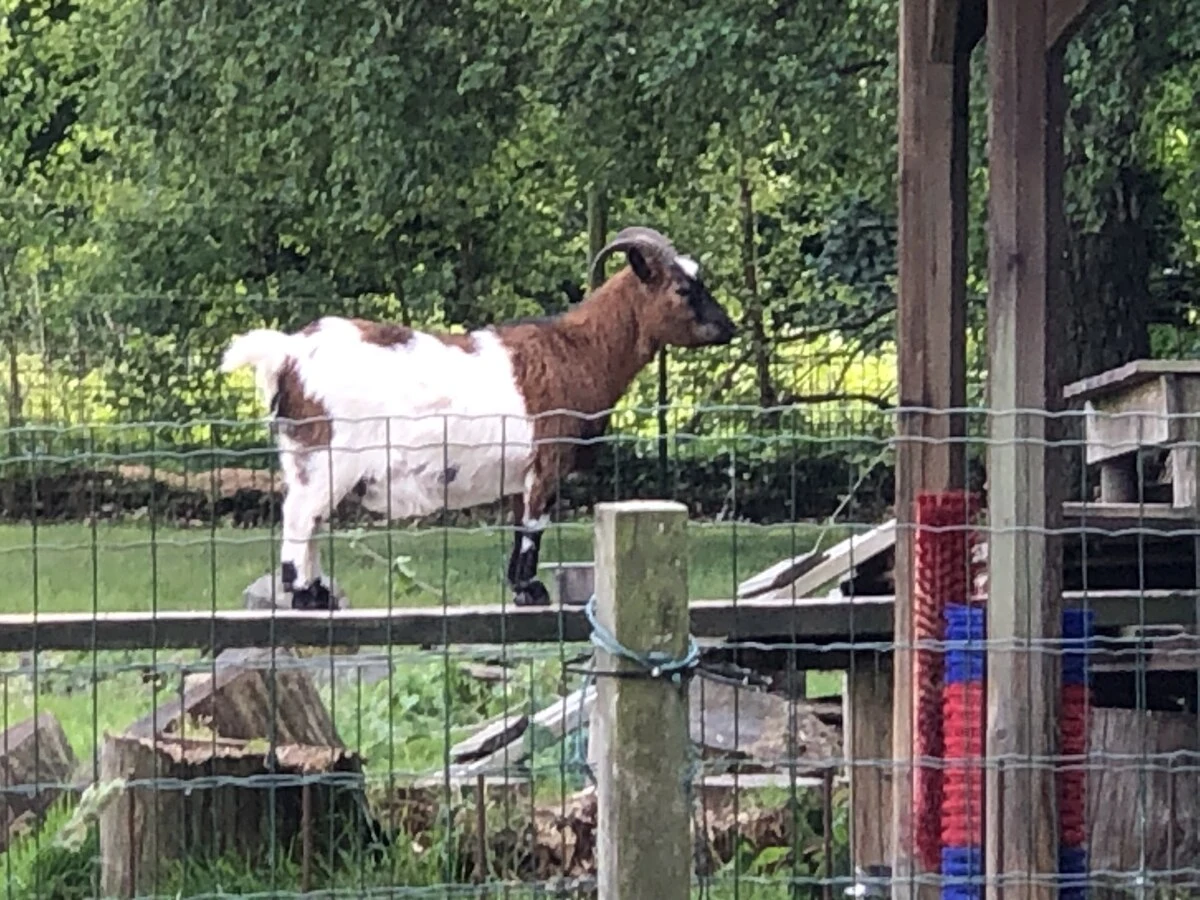 2025-Antwerp-Antwerpen-安特卫普