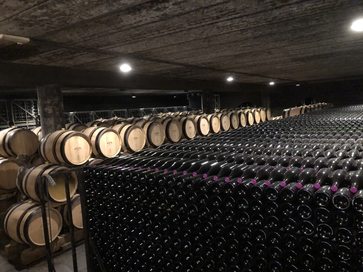 2024-Riemst-Riemst-Riemst