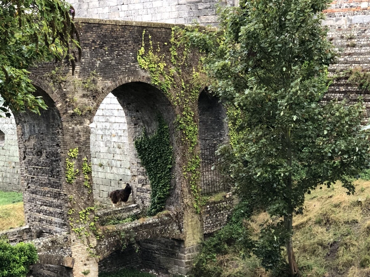 2025-Dieppe-Dieppe-迪耶普