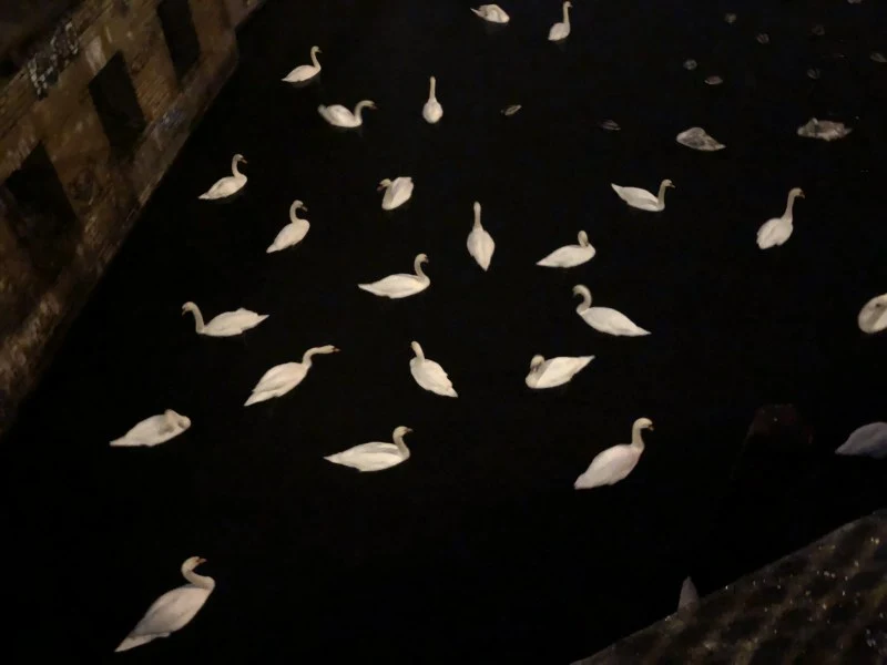 2023-Berlijn-柏林 - 