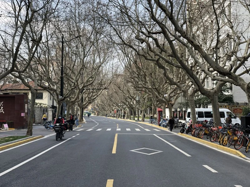 description of picture 8