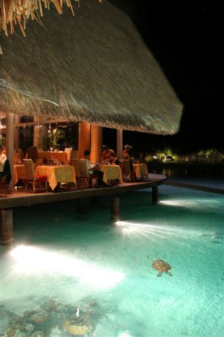 holiday